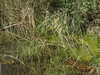 20220911145206-DSCN4349.JPG