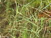 20220911145229-DSCN4351.JPG