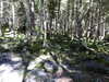 20220911145458-DSCN4352.JPG