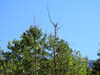 20220911150330-DSCN4362.JPG