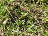 20220911152938-DSCN4408.JPG