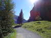 20220911153944-DSCN4426.JPG