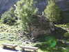 20220911154241-DSCN4434.JPG