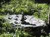 20220911154510-DSCN4440.JPG