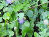 20220911154602-DSCN4442.JPG