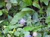 20220911154614-DSCN4443.JPG