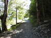 20220911154914-DSCN4447.JPG
