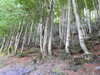 20220911155324-DSCN4456.JPG