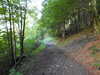 20220911155359-DSCN4459.JPG