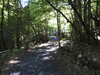 20220911155952-DSCN4462.JPG