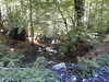 20220911160048-DSCN4463.JPG