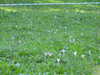20220911161121-DSCN4478.JPG
