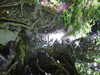 20220911161522-DSCN4485.JPG