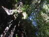20220911161630-DSCN4486.JPG