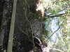 20220911161646-DSCN4487.JPG