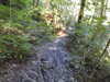 20220911161738-DSCN4490.JPG