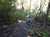 20220911161811-DSCN4492.JPG