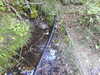 20220911161837-DSCN4494.JPG
