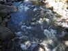 20220911161918-DSCN4500.JPG