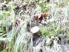 20220911162058-DSCN4506.JPG