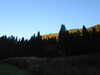 20220912193337-DSCN4523.JPG