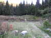 20220912193342-DSCN4524.JPG