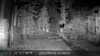 2022-09-26:Invicta Wildlife
