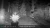 2022-10-04:Invicta Wildlife
