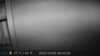 2022-10-05:Invicta Wildlife

