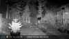 2022-10-06:Invicta Wildlife
