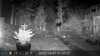2022-10-07:Invicta Wildlife
