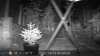 2022-10-12:Invicta Wildlife
