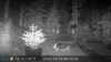 2022-10-13:Invicta Wildlife
