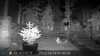 2022-10-14:Invicta Wildlife
