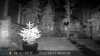 2022-10-17:Invicta Wildlife

