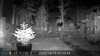 2022-10-19:Invicta Wildlife
