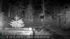 2022-10-20:Invicta Wildlife
