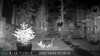 2022-10-22:Invicta Wildlife
