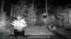 2022-10-24:Invicta Wildlife
