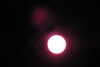 20221025104006-DSCN4573.JPG