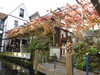 2022-10-29:canterbury with Lucy
