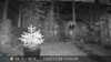 2022-11-03:Invicta Wildlife
