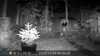 2022-11-05:Invicta Wildlife
