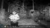 2022-11-07:Invicta Wildlife
