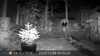 2022-11-08:Invicta Wildlife
