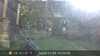 2022-11-09:Invicta Wildlife
