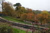 20221112115948-DSCN4595.JPG