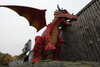 20221112120426-DSCN4602.JPG