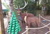 20221112120957-DSCN4613.JPG