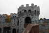 20221112121324-DSCN4624.JPG